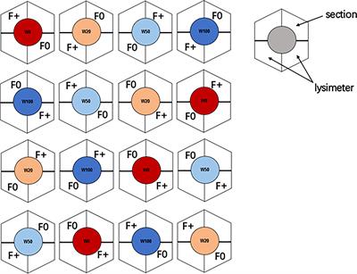 The effects of previous summer drought and fertilization on winter non-structural carbon reserves and spring leaf development of downy oak saplings